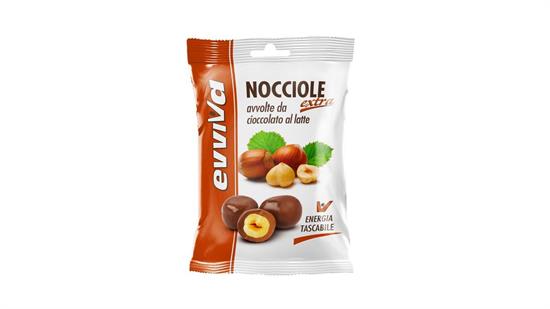 NOCCIOLE AVVOLTE DA CIOCCOLATO AL LATTE GR 25 PZ 24