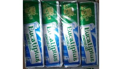 MENTAL - STICK RETT. EUCALIPTUS MENTOLO - 20 PZ.